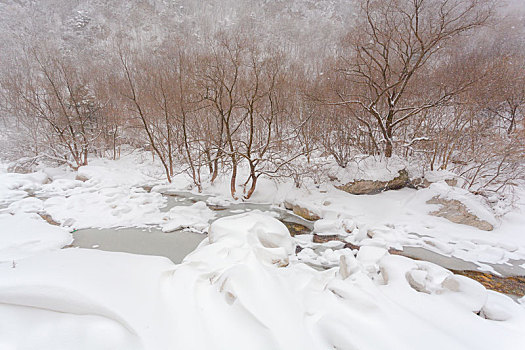 秦岭沣峪河冬天雪景