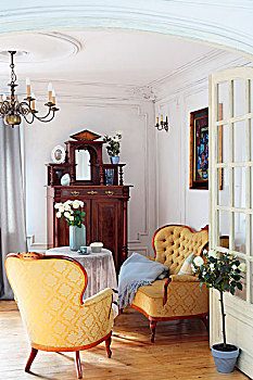 风景,敞门,休闲沙发,区域,时期,扶手椅,沙发,苍白,金色,丝绸,家居装潢,装饰,图案