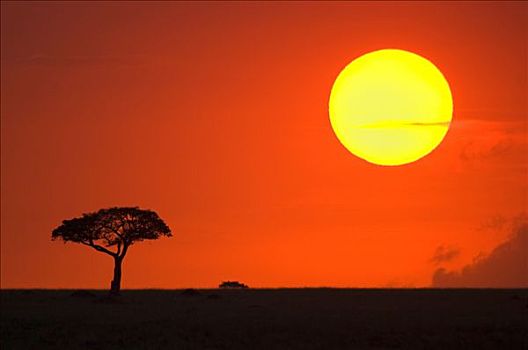 日落,肯尼亚,东非
