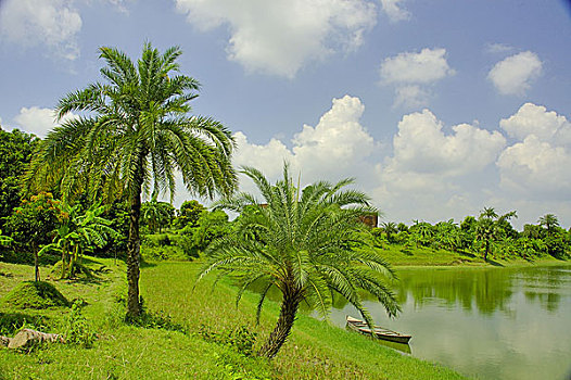 风景,孟加拉,九月,2006年