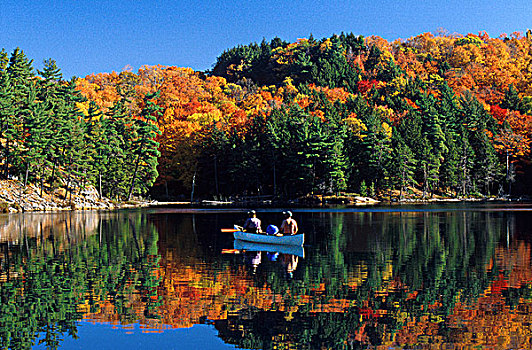秋天,独木舟,湖,基拉尼省立公园,安大略省,加拿大