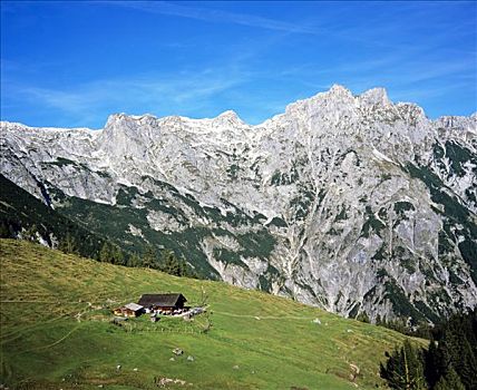 山,阿尔卑斯草甸,萨尔茨堡,奥地利,欧洲