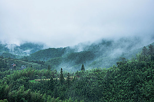 雨雾山景