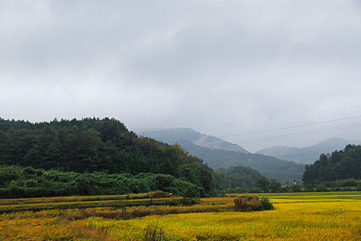 霭里村,美丽乡村,乡村旅游