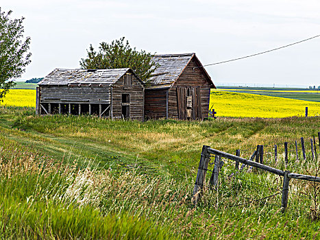 谷仓,农场,南方,艾伯塔省,加拿大