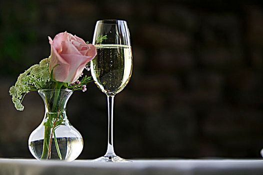 棚拍,粉红玫瑰,花瓶