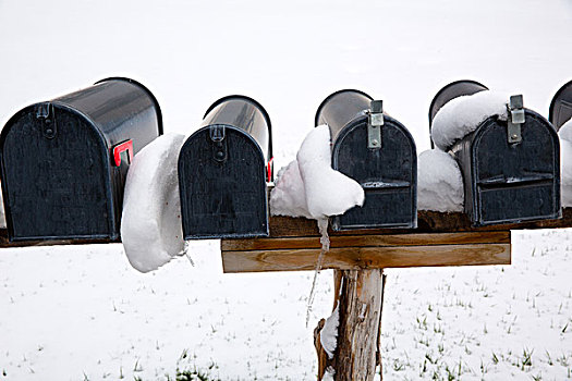 内华达,美国,邮箱,排列,冰雪