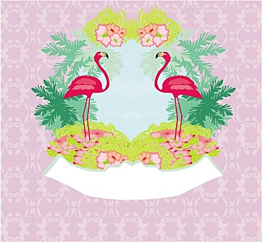 旧式,框,绿色,棕榈树,粉红火烈鸟