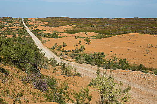 乌兹别克斯坦沙漠公路