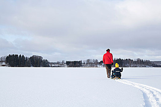 父亲,拉拽,儿子,雪橇,雪中,遮盖,风景,后视图