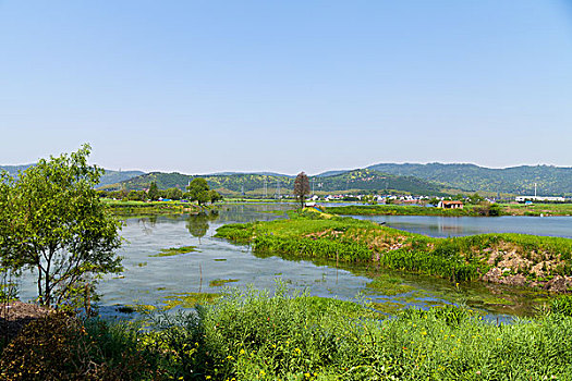 苏州旺山村风光