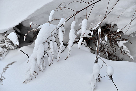 冬季吉林雪村-松岭美景如画