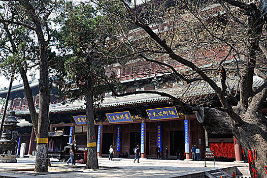 隆興寺