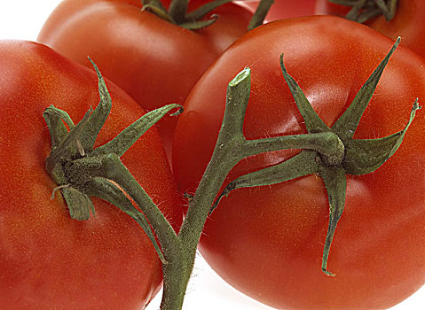 红色,西红柿,番茄