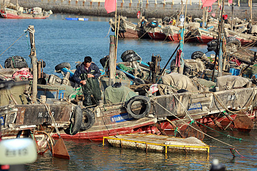 山东省日照市,渔船插满国旗,渔民整理渔具驾船出海