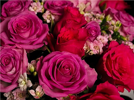 花束,粉色,玫瑰