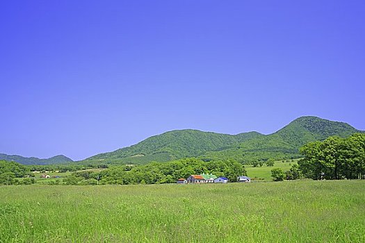 地点,农舍,排,山