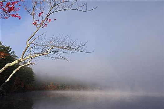 薄雾,新罕布什尔,美国