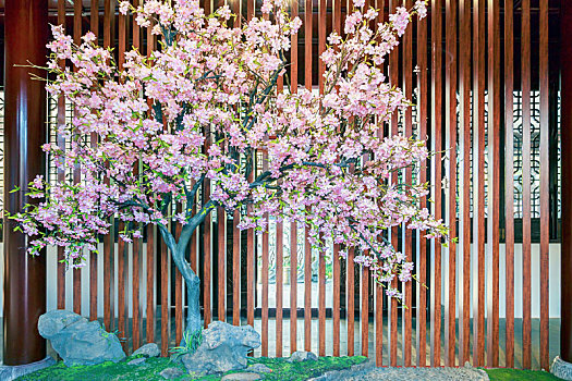 室内花树背景装饰,南京莫愁湖公园中式建筑内景