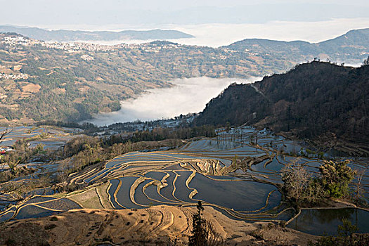 云南,元阳梯田,徐学哲摄影,尼康,年,月