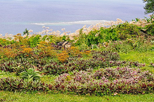 顶峰,花园,维拉港