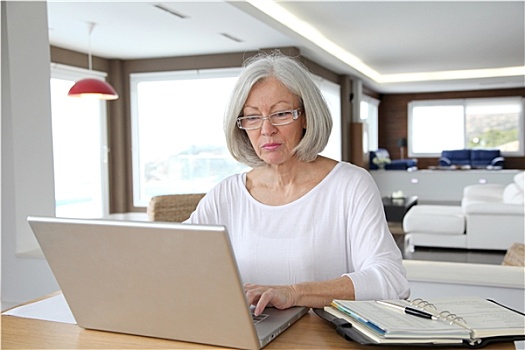 老年,女人,在家,正面,笔记本电脑
