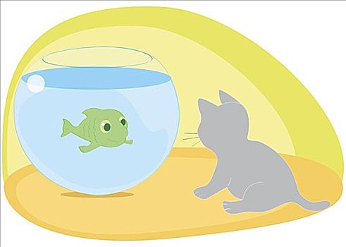 鱼,游泳,鱼缸,看,猫
