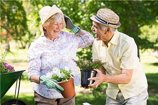 高兴,老年,夫妻,园艺