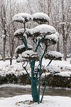 河北省石家庄正定县,云居湖公园雪景