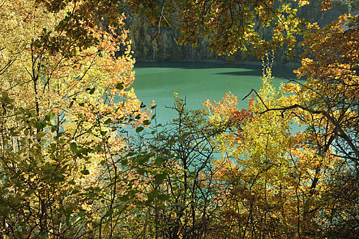 秋天,青绿色,湖
