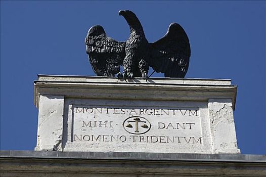 青铜,鹰,屋顶,意大利北部,欧洲