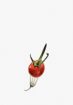 西红柿,叉子