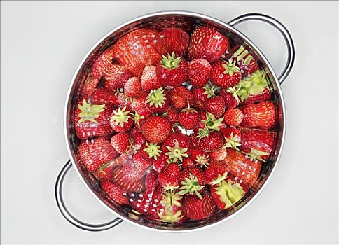 新鲜,草莓,滤器