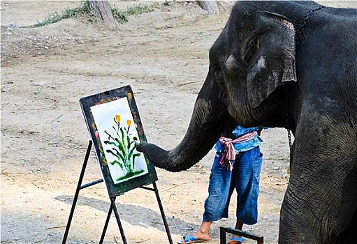 大象,艺术家,绘画