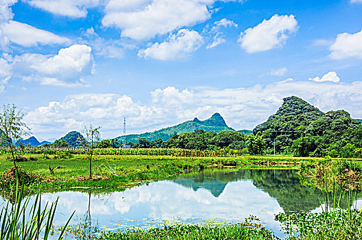 夏日田园风光