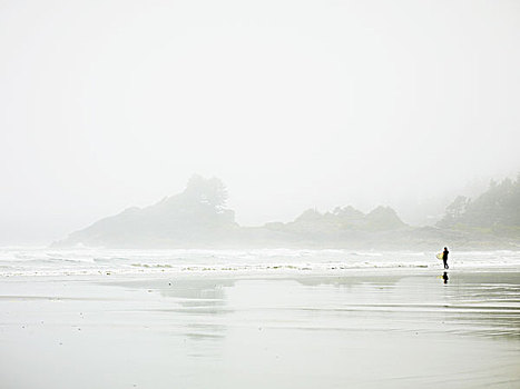 孤单,冲浪,站立,湿,海滩,水边,湾,不列颠哥伦比亚省,加拿大