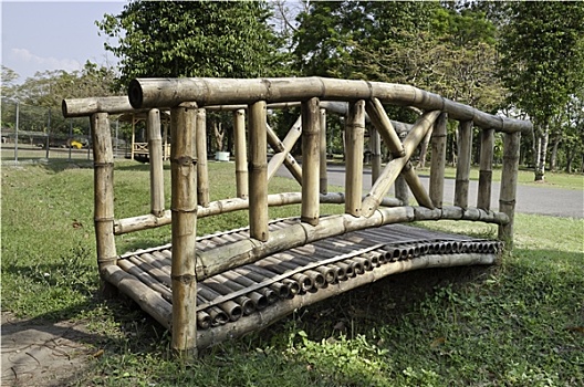 木质,竹子,桥
