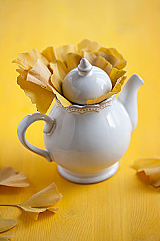 银杏,茶,秋天,叶子,白色,茶壶