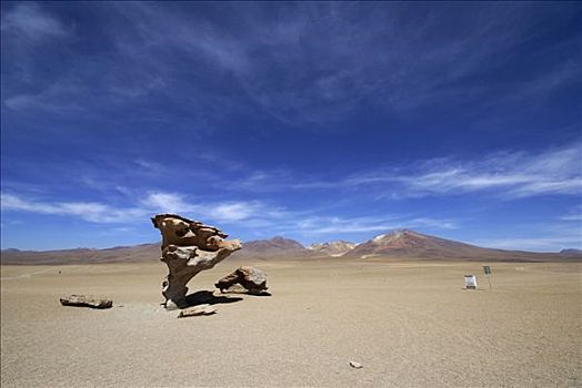 怪诞,石头,形状,乌尤尼,高地,玻利维亚
