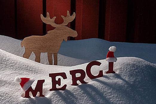 圣诞贺卡,驼鹿,雪,卑劣,感谢,圣诞帽