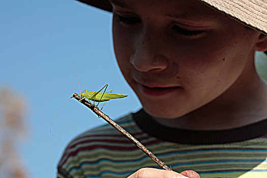 印度,喀拉拉,佩里亚国家公园,男孩,蟋蟀,细枝