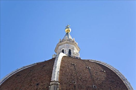 大教堂,穹顶,圣母百花大教堂,佛罗伦萨,托斯卡纳,意大利