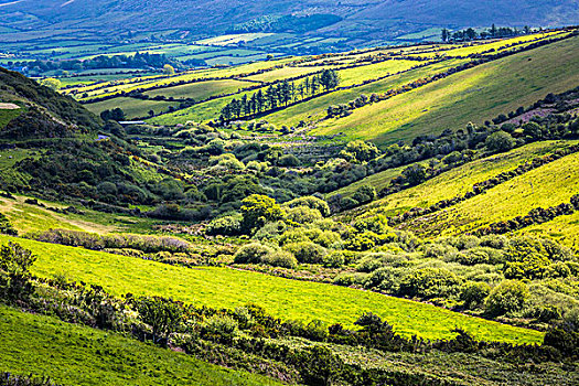 景色,俯视,农田,靠近,凯瑞郡,爱尔兰