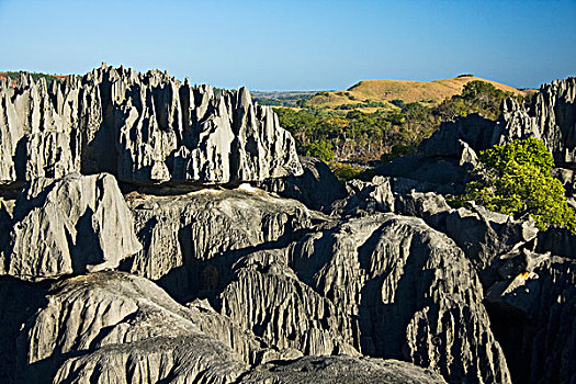 岩石构造,围绕,干燥,国家公园,西部,马达加斯加