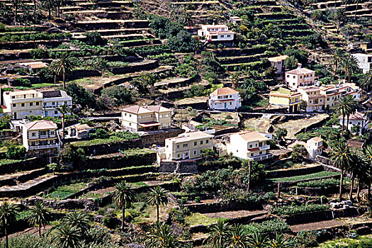 房子,绿色,平台,山坡,风景,花园,大帝谷,加纳利群岛,西班牙,欧洲