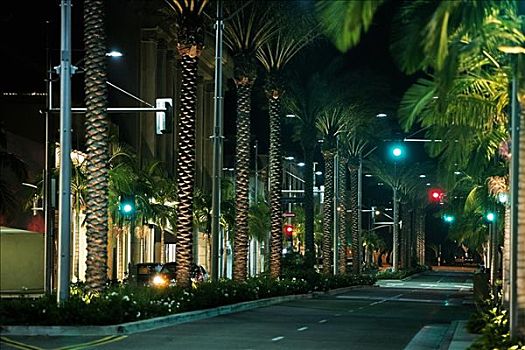 街道,夜晚,罗迪欧大道,洛杉矶,加利福尼亚,美国