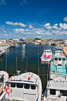 渔船,捆绑,北湖,港口,爱德华王子岛,加拿大