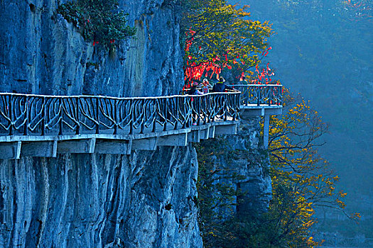 悬崖,小路,岩石,国家公园,湖南,省,中国,亚洲