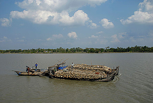 河,库尔纳市,孟加拉,二月,2008年