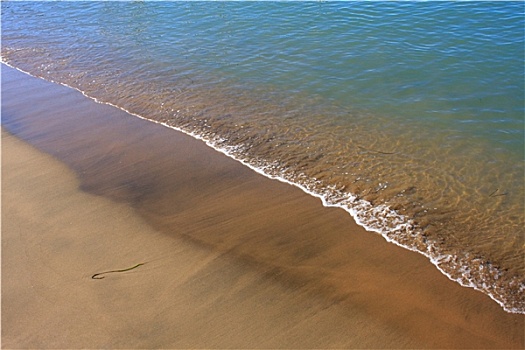 沙子,海滩,加勒比海